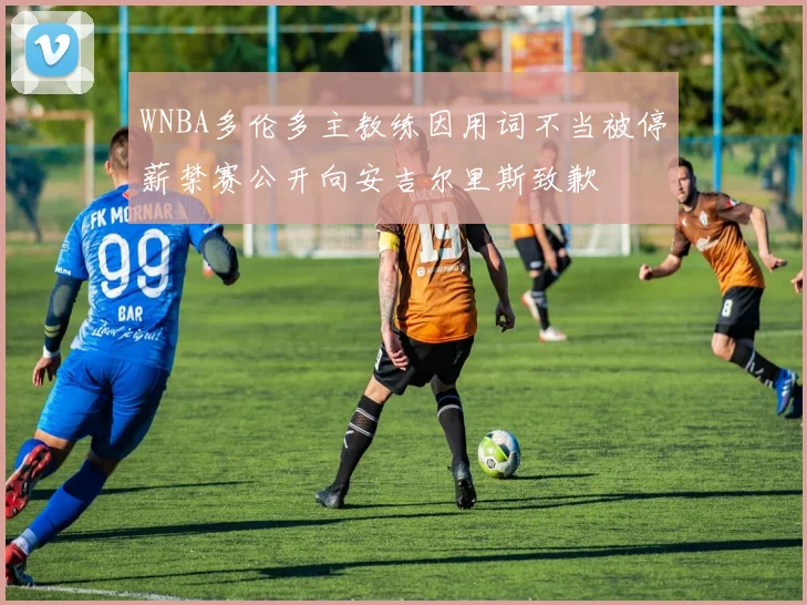 WNBA多伦多主教练因用词不当被停薪禁赛公开向安吉尔里斯致歉