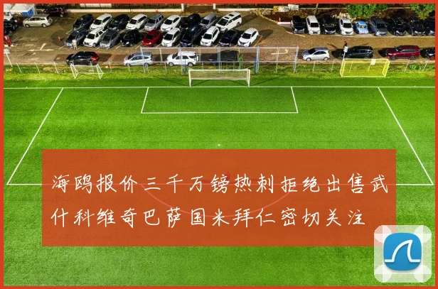 海鸥报价三千万镑热刺拒绝出售武什科维奇巴萨国米拜仁密切关注
