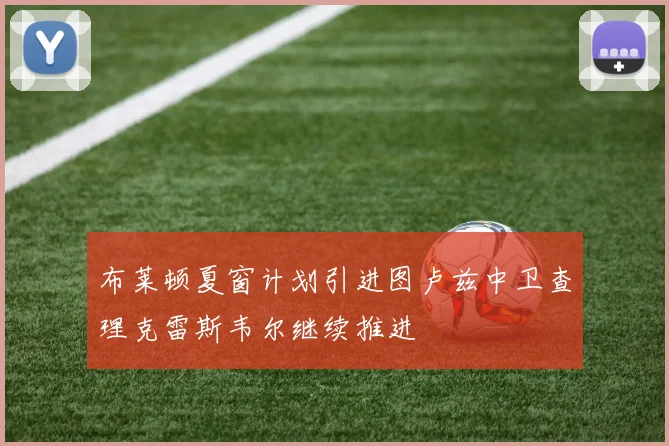 布莱顿夏窗计划引进图卢兹中卫查理克雷斯韦尔继续推进